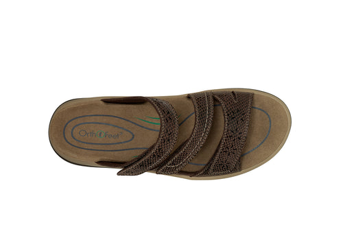 Sahara - Brown Snake