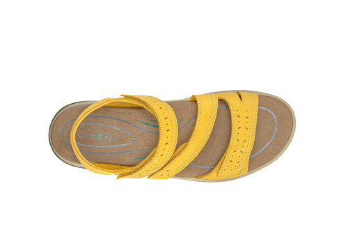 Where to find discounted products Naxos Yellow