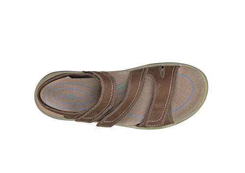 Where to buy cheap Naxos Brown